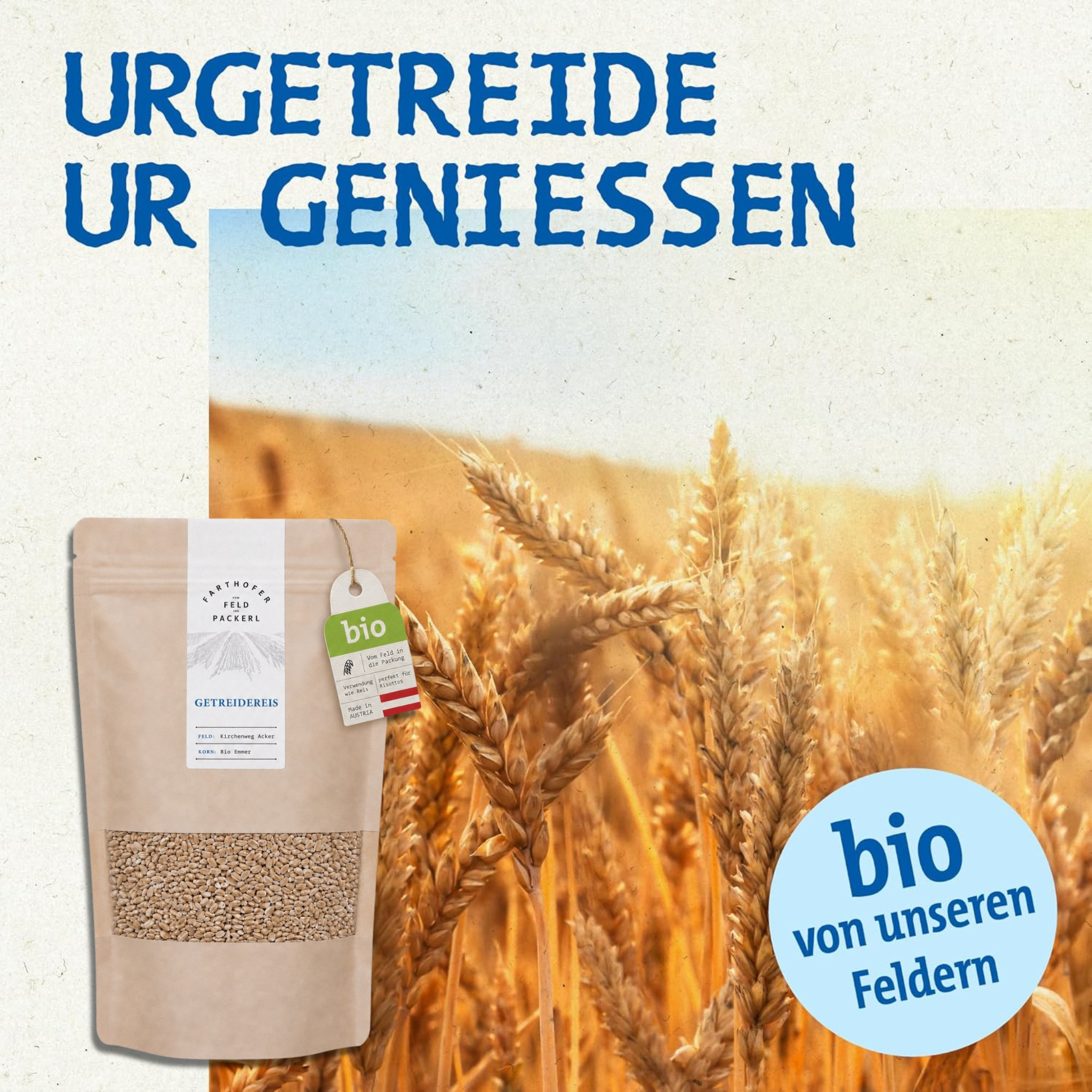 Emmer Getreidereis – Bild 2