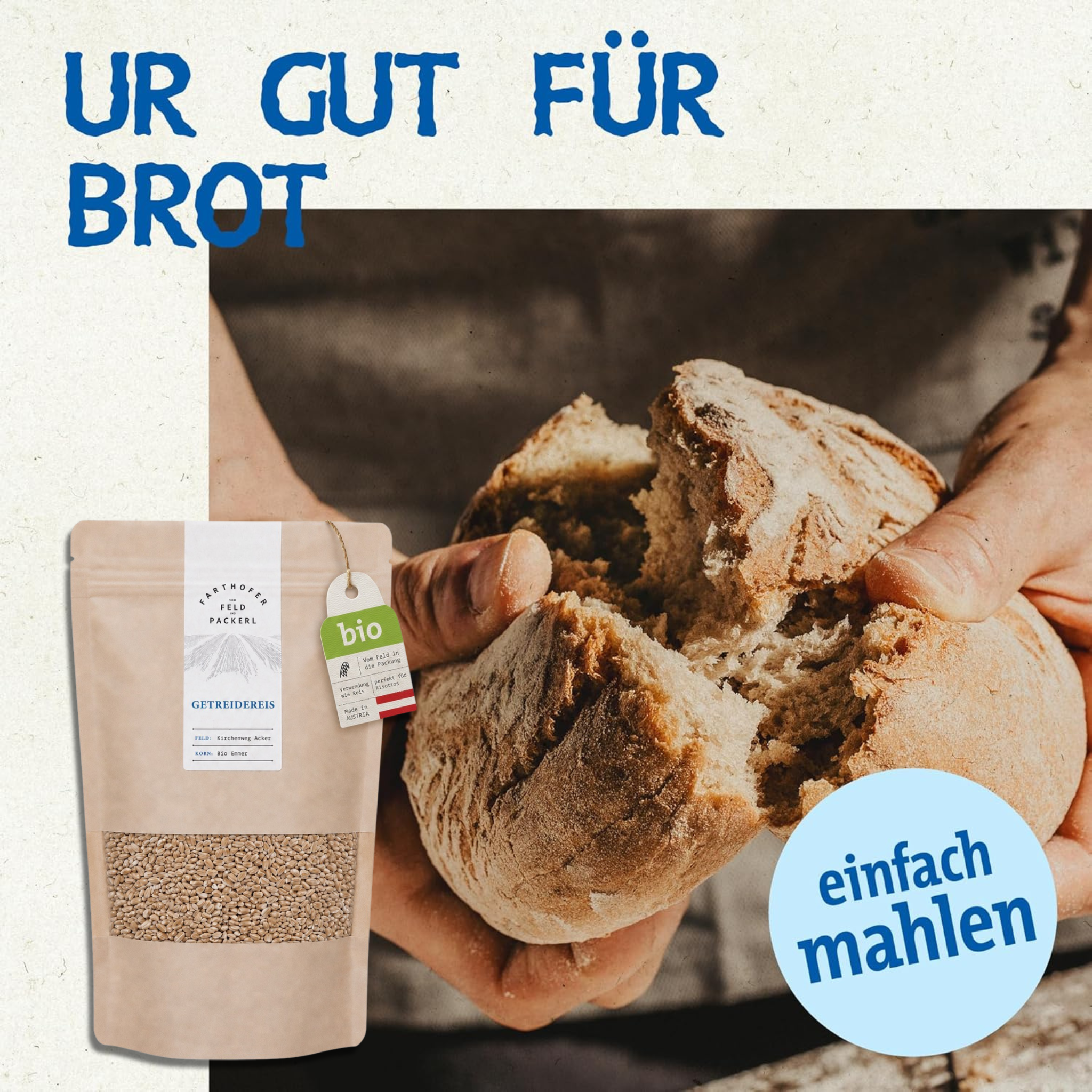 Emmer Getreidereis – Bild 6
